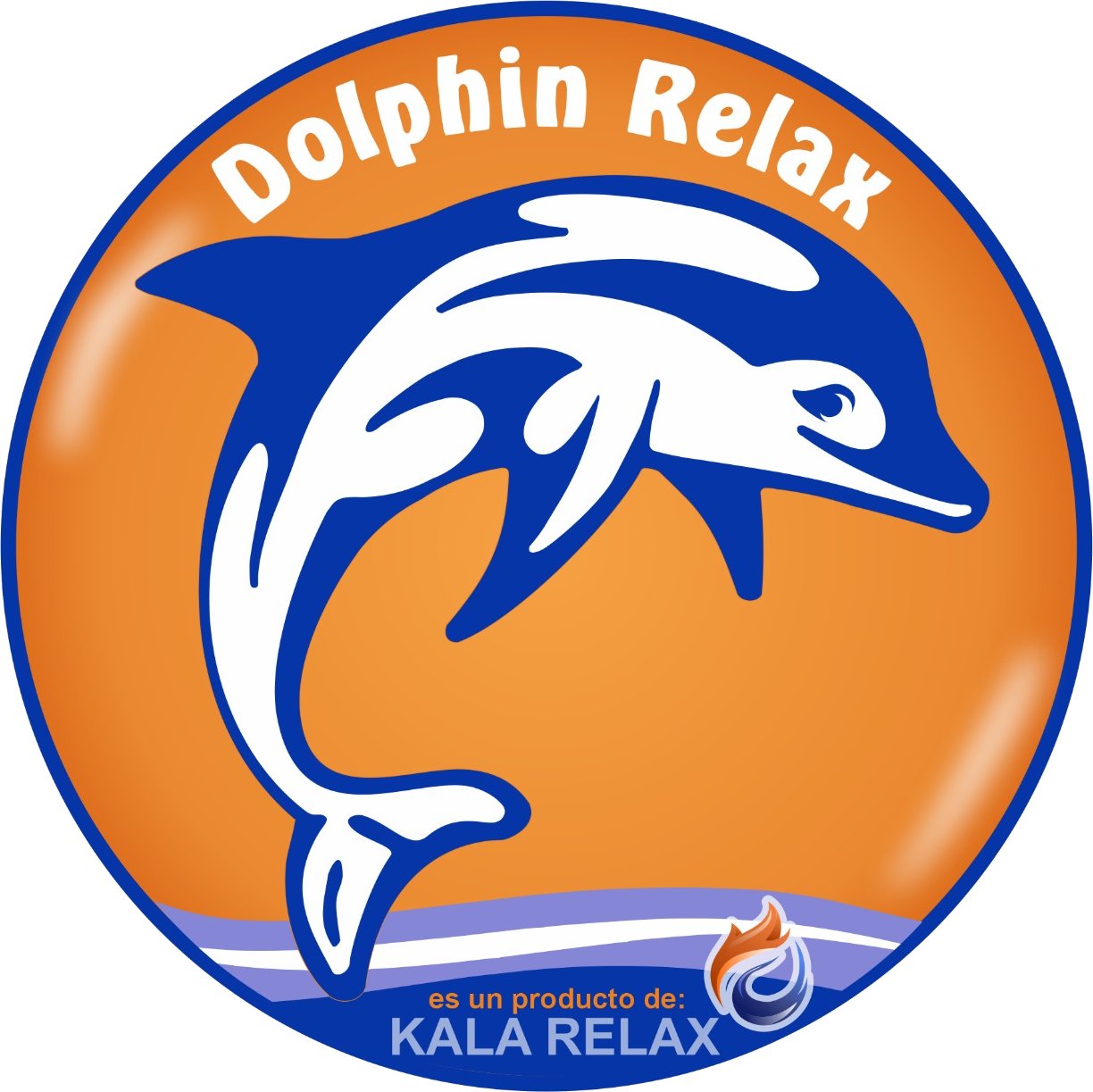 dolphin relax